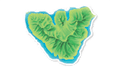 moorea-island-3