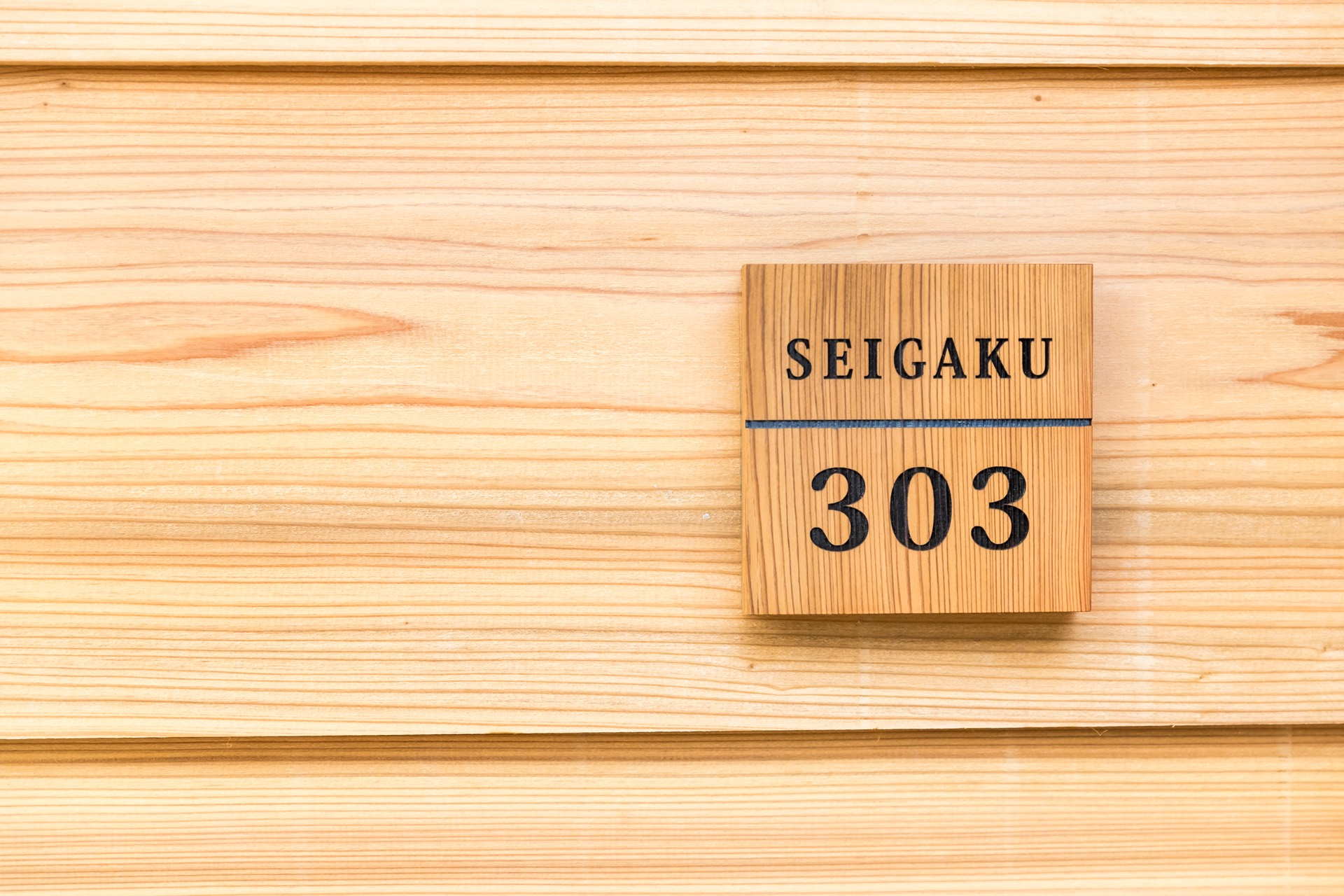 政学 SEIGAKU 303