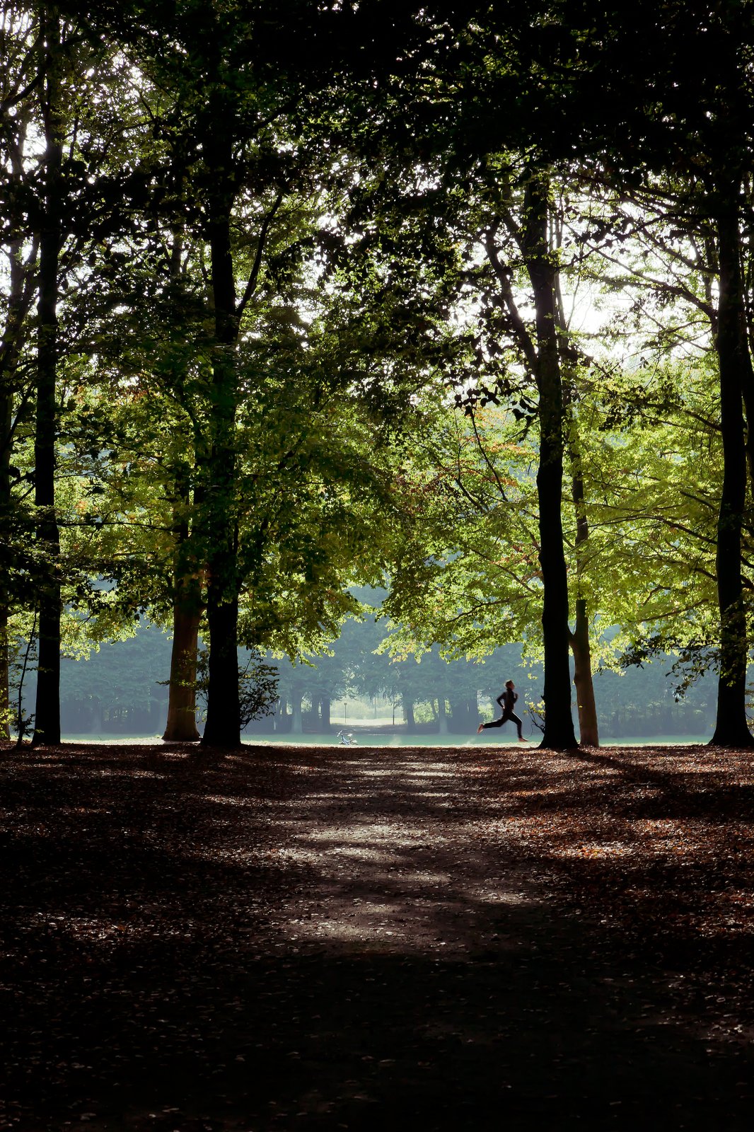 Pildammsparken 公園晨跑