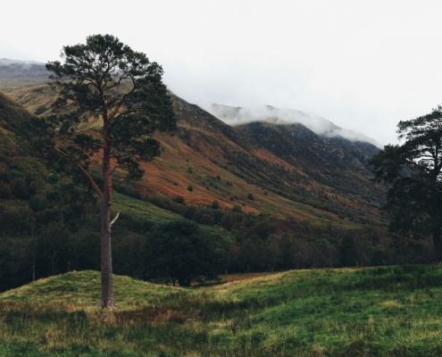 Glen Nevis, Fort William, UK